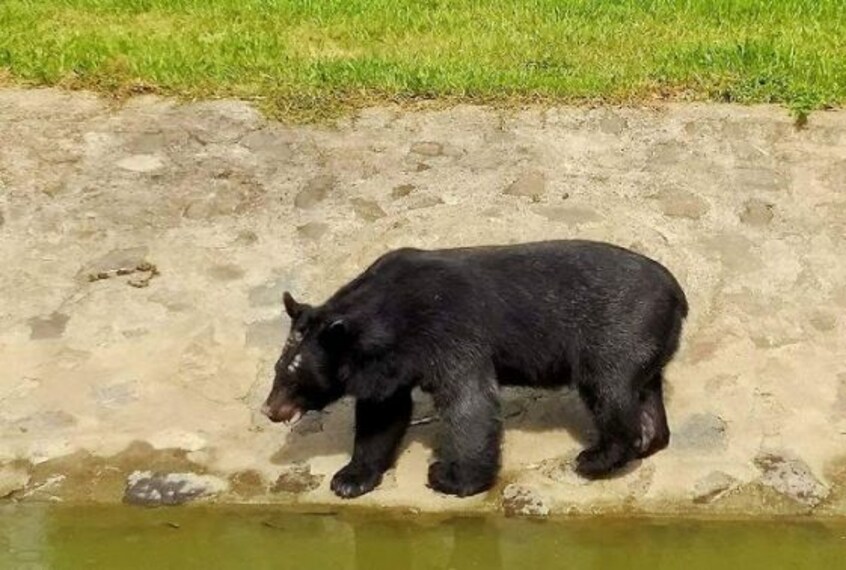 Explore Manipur Zoological Garden-5